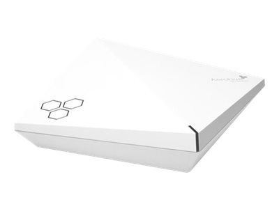 Dell Aerohive AP250 Wireless Access Point
