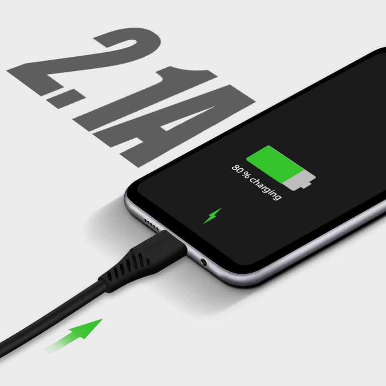 Cargador de pared doble USB Swissten 2.1A Smart IC + cable USB-C Negro
