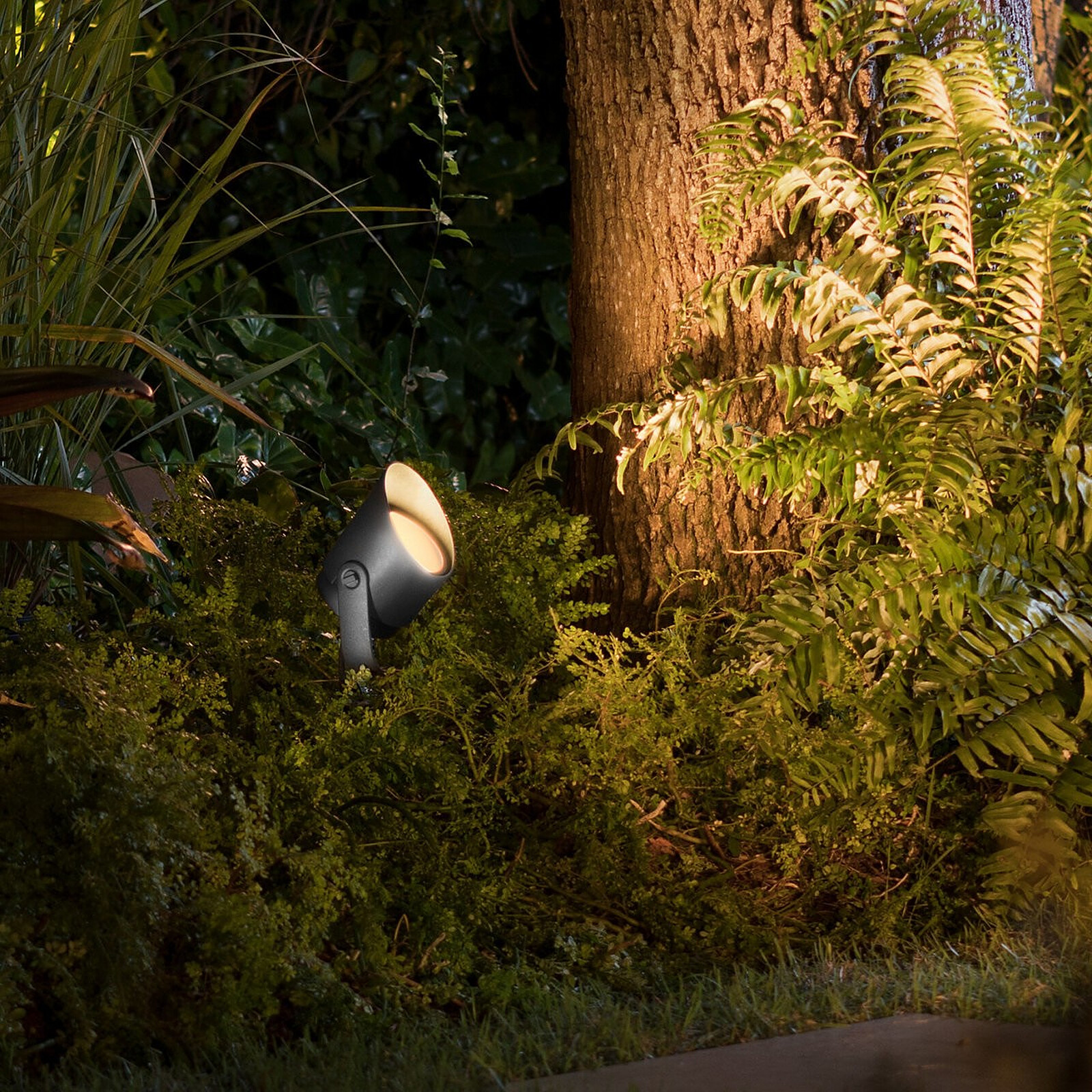 Philips Hue White &amp; Colour Ambiance Connected Outdoor Spotlight LILY XL - 15W - Black