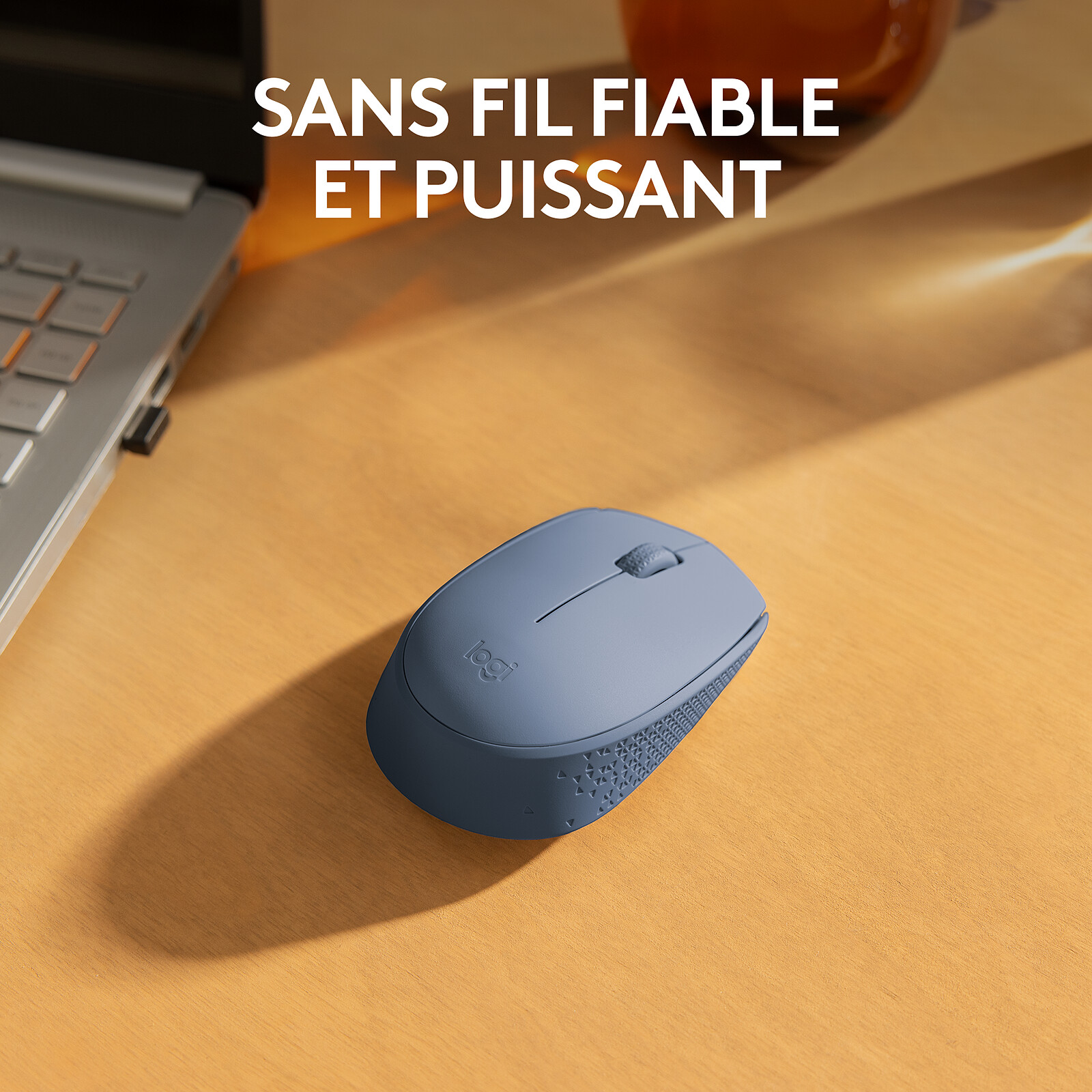 Logitech M171 Wireless Mouse (Blue Gray)