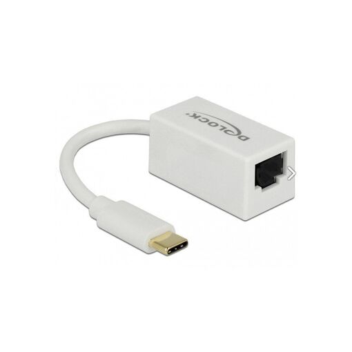 Adaptateur réseau Lan Delock USB-C 3.1 Gen 1 Blanc