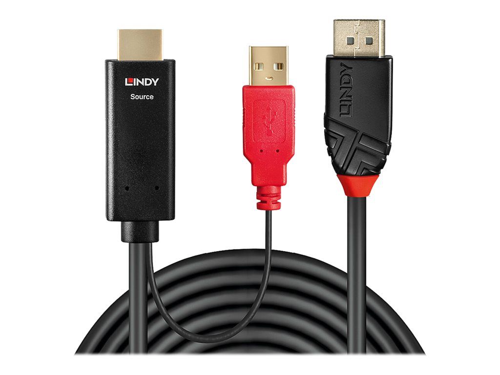 Lindy Active Video/Audio Cable - 2m, USB to DisplayPort Male, Black