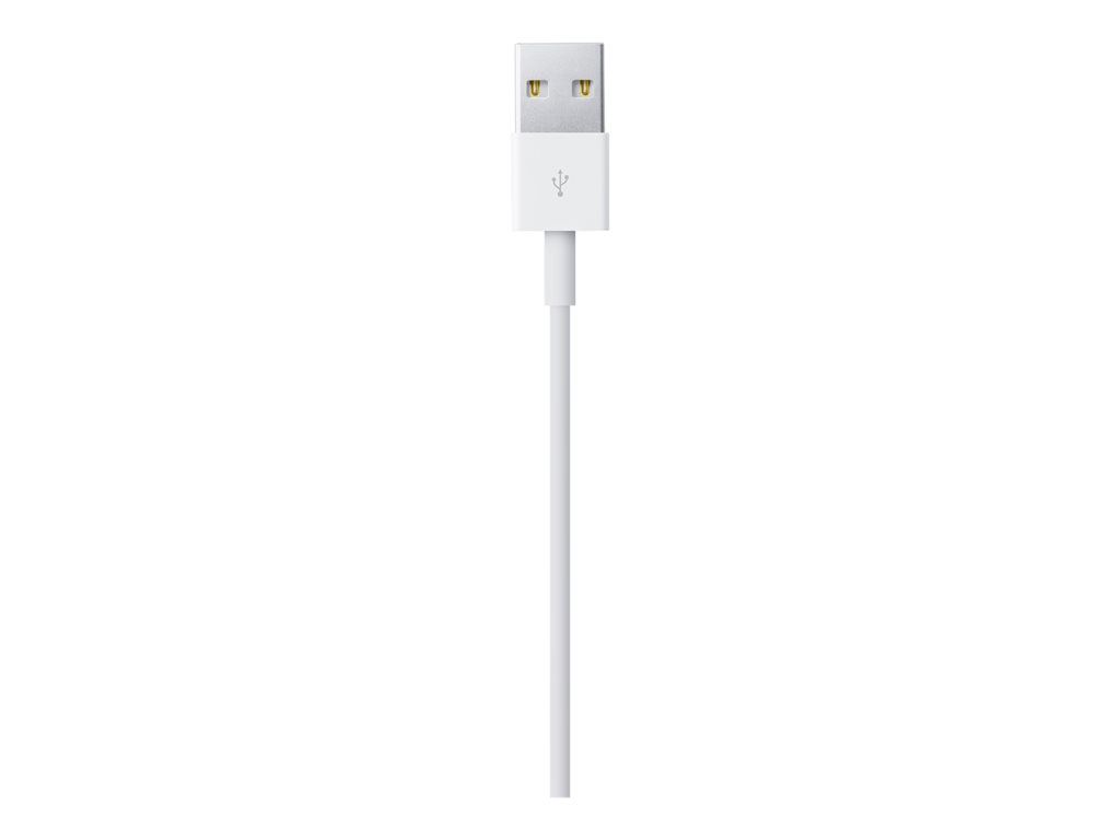 Câble Lightning Apple - 1m
