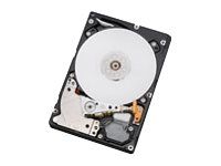 Western Digital Ultrastar C10K1800 - 300GB Internal Hard Drive