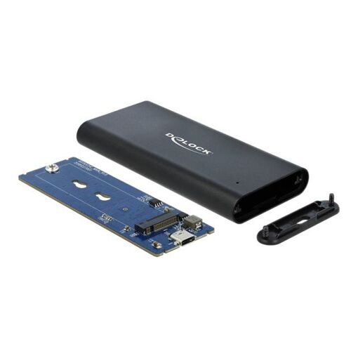 Boîtier externe Delock M.2 pour carte NVMe - USB 3.1 (Gen 2) Noir