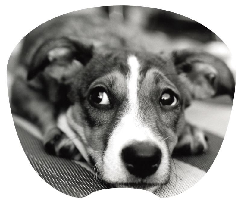 Aidata Ultra-Thin Mouse Pad with Dog Decor