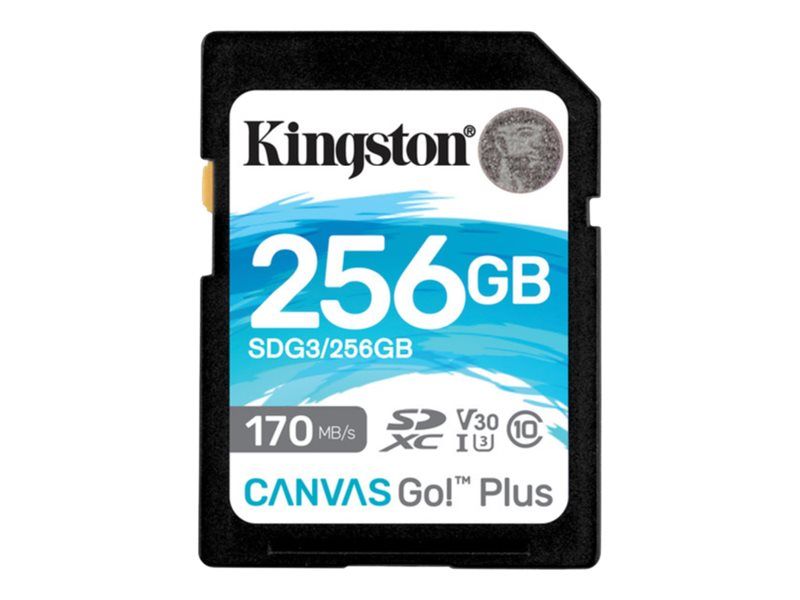 Tarjeta de memoria Kingston Canvas Go! Plus 256 GB
