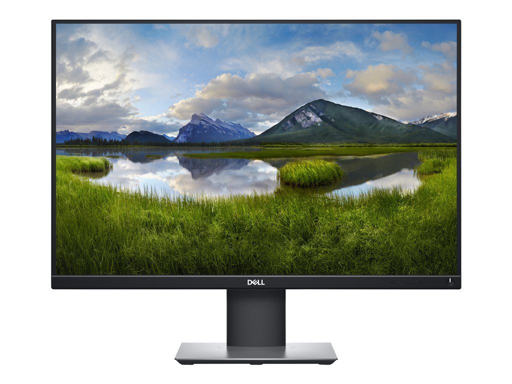 Dell P2421 - 24-Inch LED Monitor - WUXGA (1920x1200) at 60Hz - IPS - 300 cd/m² - 5ms Response Time - HDMI, DVI, DisplayPort, VGA - Black