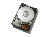 Western Digital Travelstar 5K100 - 60GB Internal 2.5-inch SATA Hard Drive
