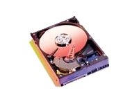 Western Digital Blue 300GB Internal Hard Drive