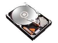 Maxtor DiamondMax 10 - 200GB Internal Hard Drive - 3.5" - 7200 RPM - 16MB Buffer