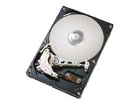 Western Digital Deskstar 7K160 - 160GB Internal Hard Drive