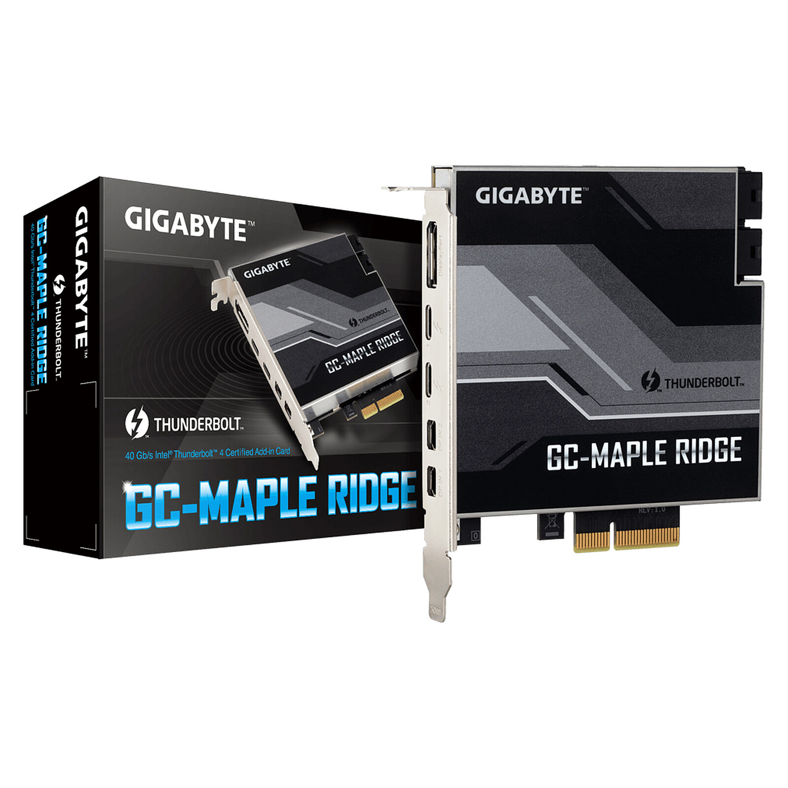 Carte d'extension Gigabyte GC-MAPLE RIDGE