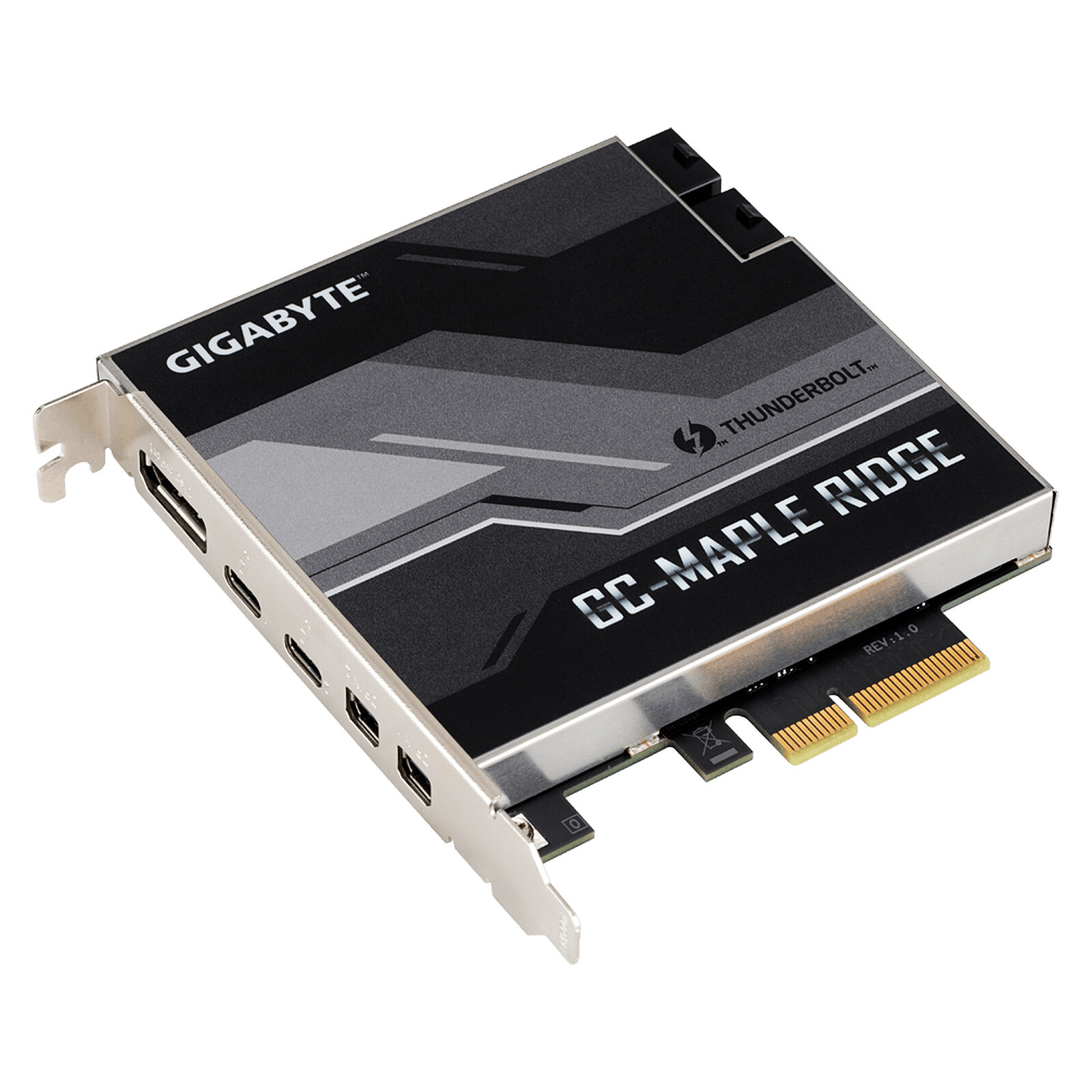 Carte d'extension Gigabyte GC-MAPLE RIDGE