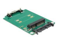 Delock Micro SATA to mSATA Converter