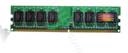 Transcend JetRAM 1GB DDR2 Memory Module (PC2-5300, 667MHz, CL5, 1.8V, Unbuffered, Non-ECC)