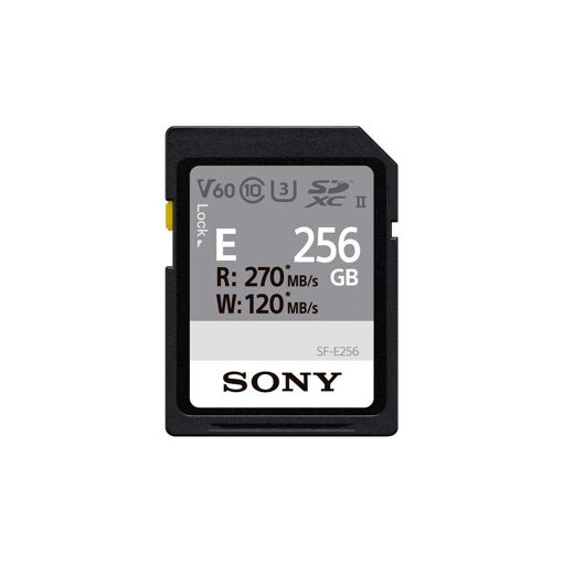 Tarjeta de memoria Sony SFE 256 GB