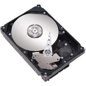 Seagate DiamondMax 22 - 1TB Internal Hard Drive - 3.5" SATA 3Gb/s - 7200 RPM - 32MB Buffer