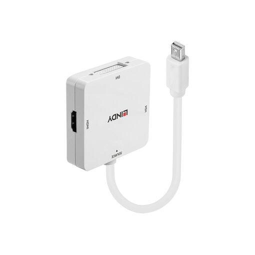 Adaptateur Lindy DisplayPort 1.2 mini
