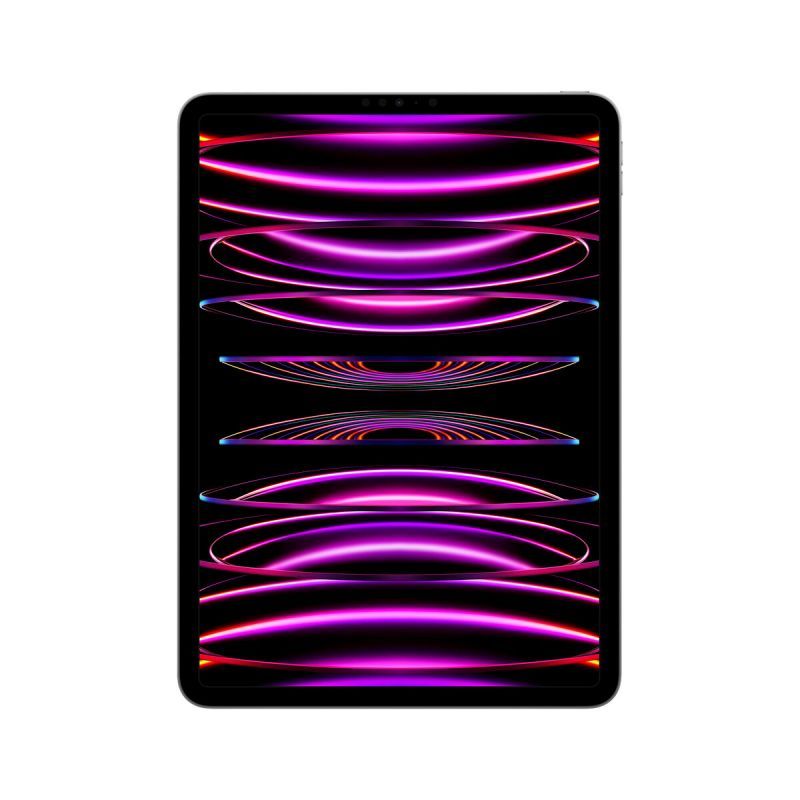 Apple iPad Pro 16GB 1TB 11-inch Tablet