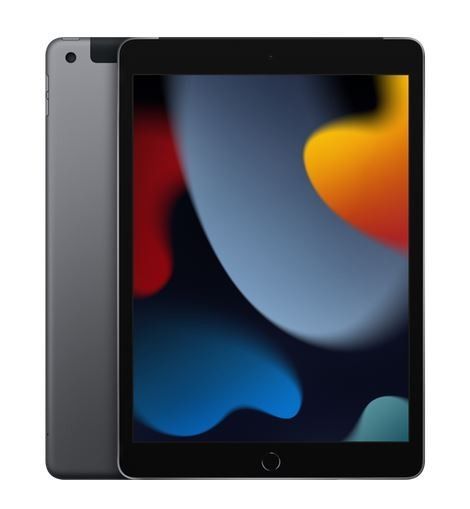 Apple iPad Wi-Fi + Cellular 64GB, 10.2-inch, Gray