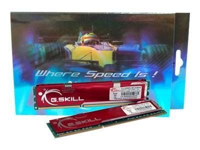 G.Skill NQ Series 4GB (2x2GB) DDR3 Dual Channel Kit - 1333MHz