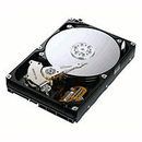 Western Digital Travelstar 5K320 - 250GB Encrypted Internal 2.5-inch SATA 3Gb/s Hard Drive