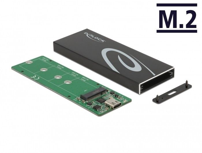 Delock M.2 SSD Enclosure - USB 3.2 (Gen 2) - Black