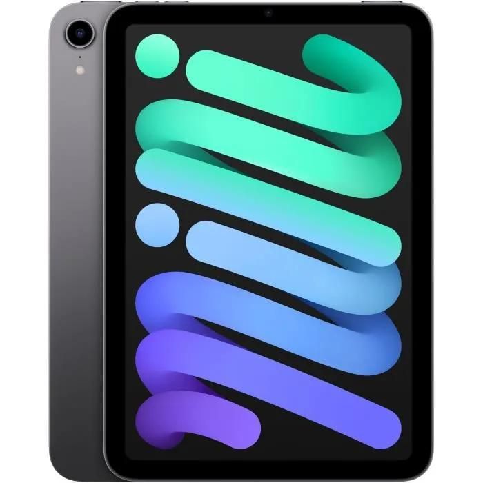 Apple iPad mini 6 (2021) 64GB Wi-Fi Gray