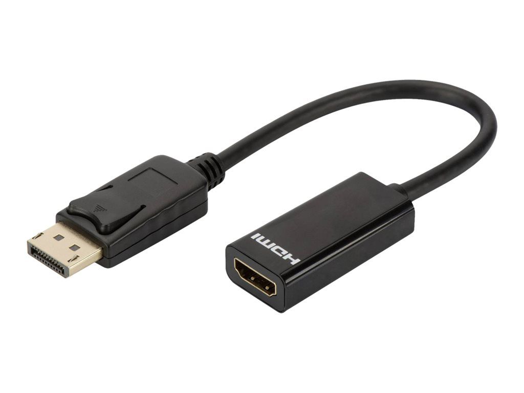 Adaptateur DLH DisplayPort vers HDMI - 23 cm - Noir