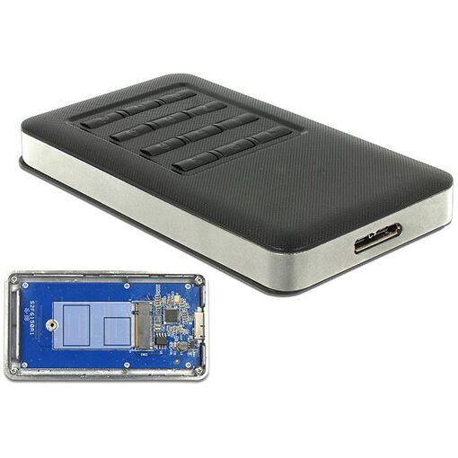 Adaptador SSD M.2 externo Delock con cifrado USB 3.0 B