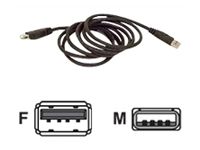 Belkin USB 2.0 Extension Cable - 3m