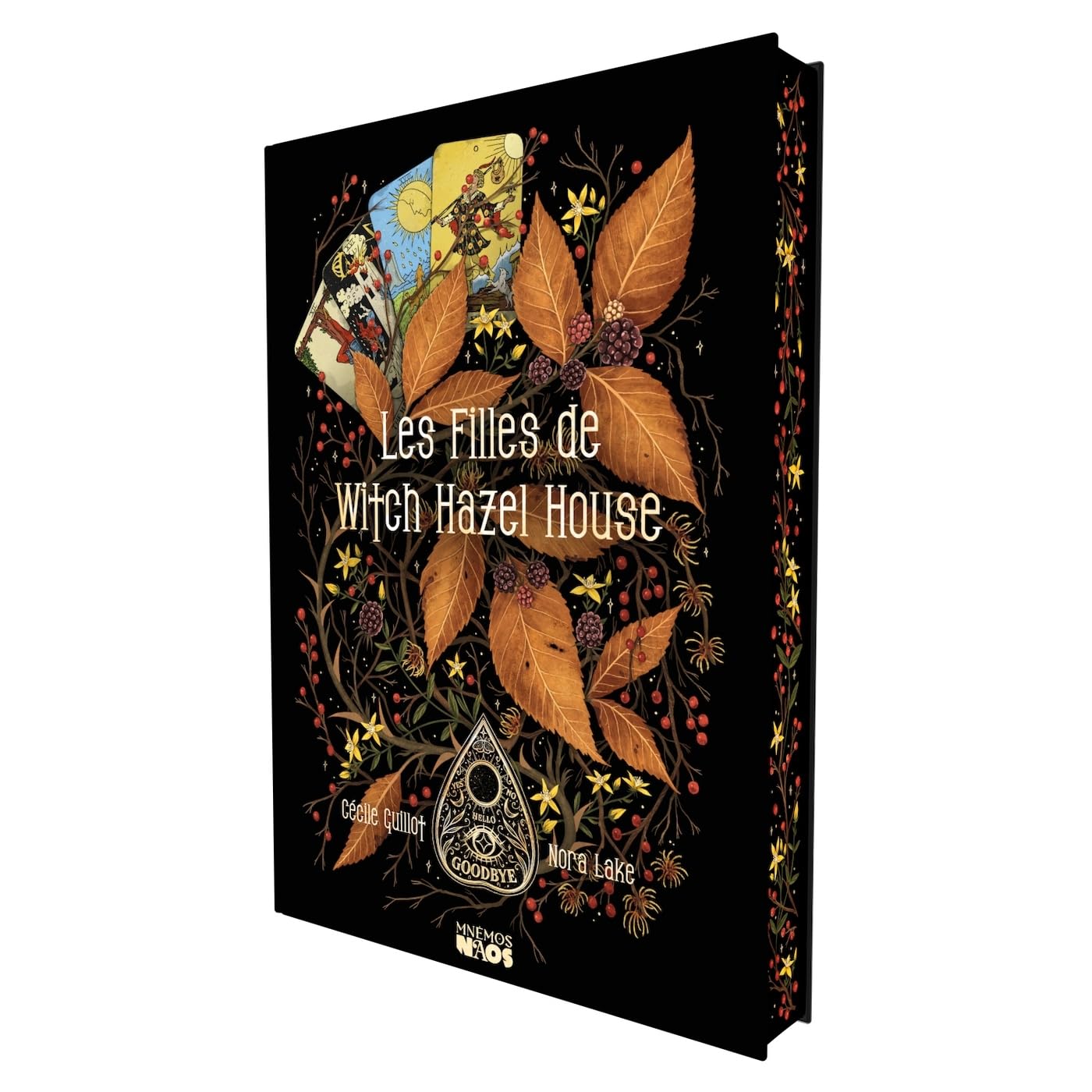 Les Filles de Witch Hazel House (Tapa dura, Ilustrado) por Cécile Guillot y Nora Lake