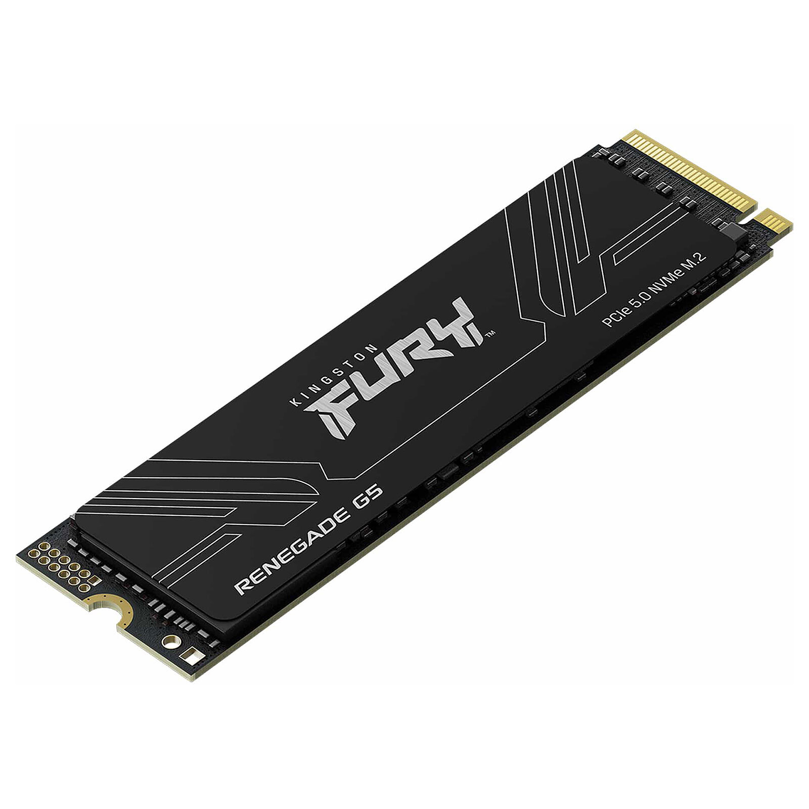 Kingston FURY Renegade G5 8TB