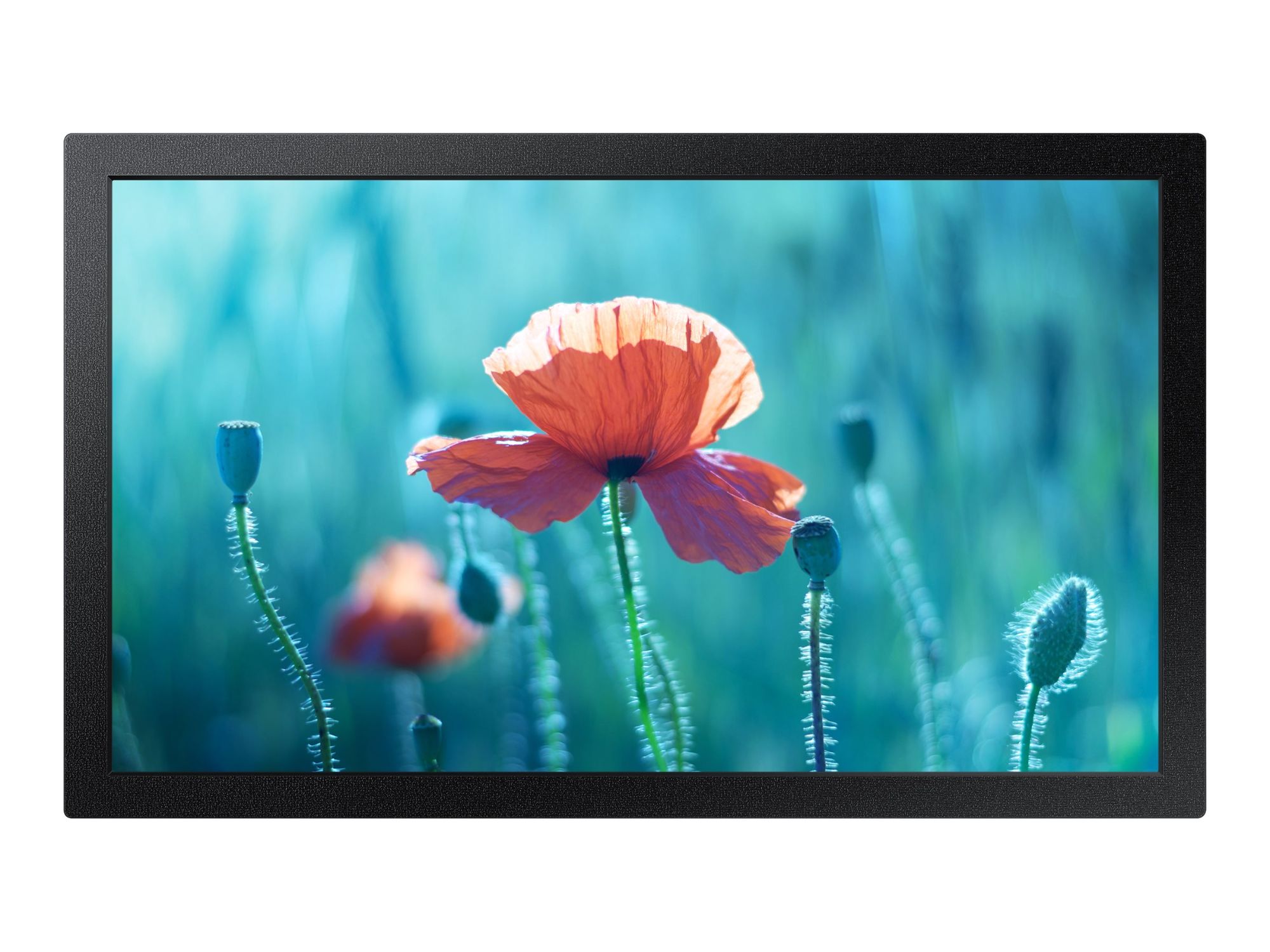 Samsung QB13R-M 13" QBR Series LED Display - Digital Signage - Tizen OS 1080p 1920 x 1080 - Black