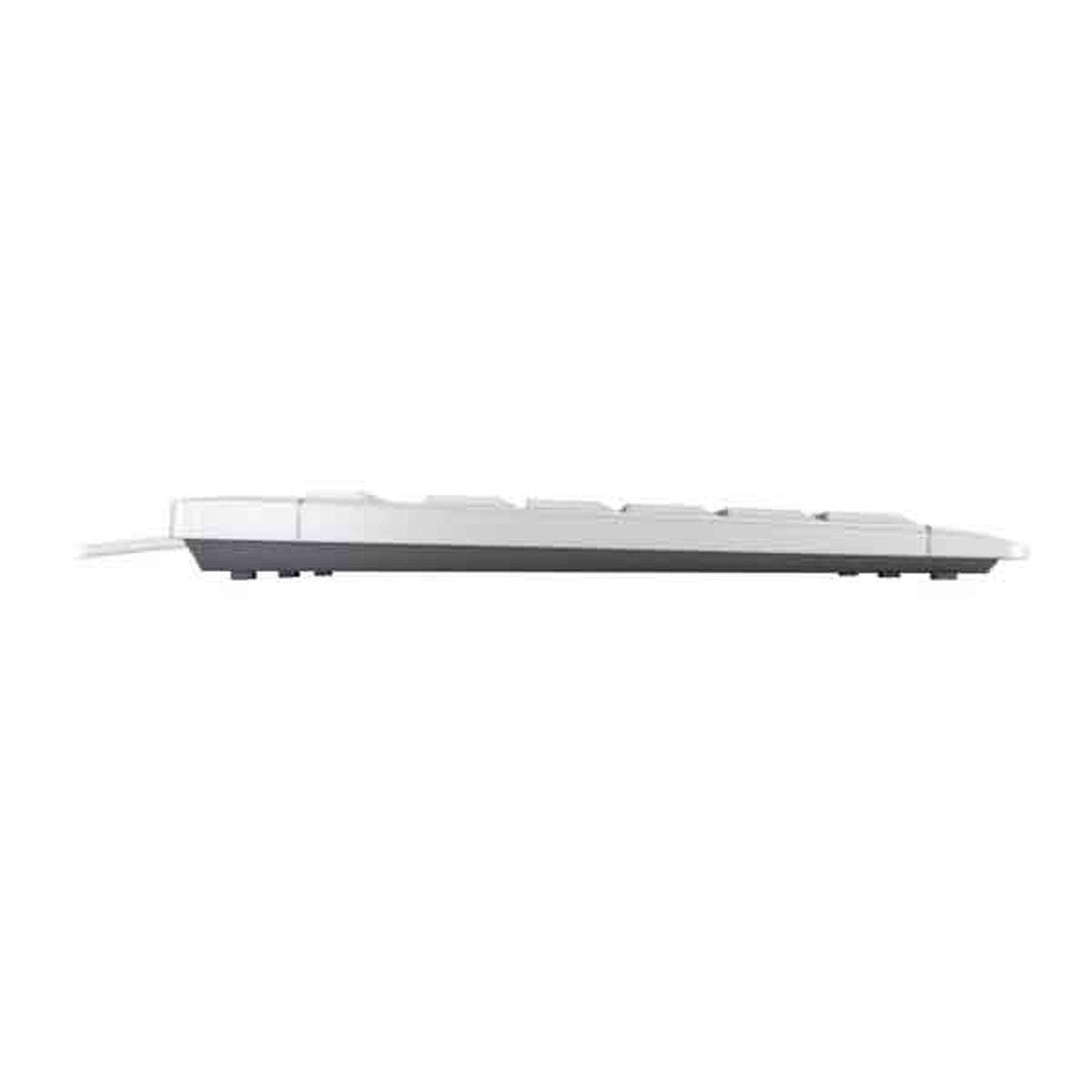 Clavier Cherry Stream TKL (blanc) - AZERTY
