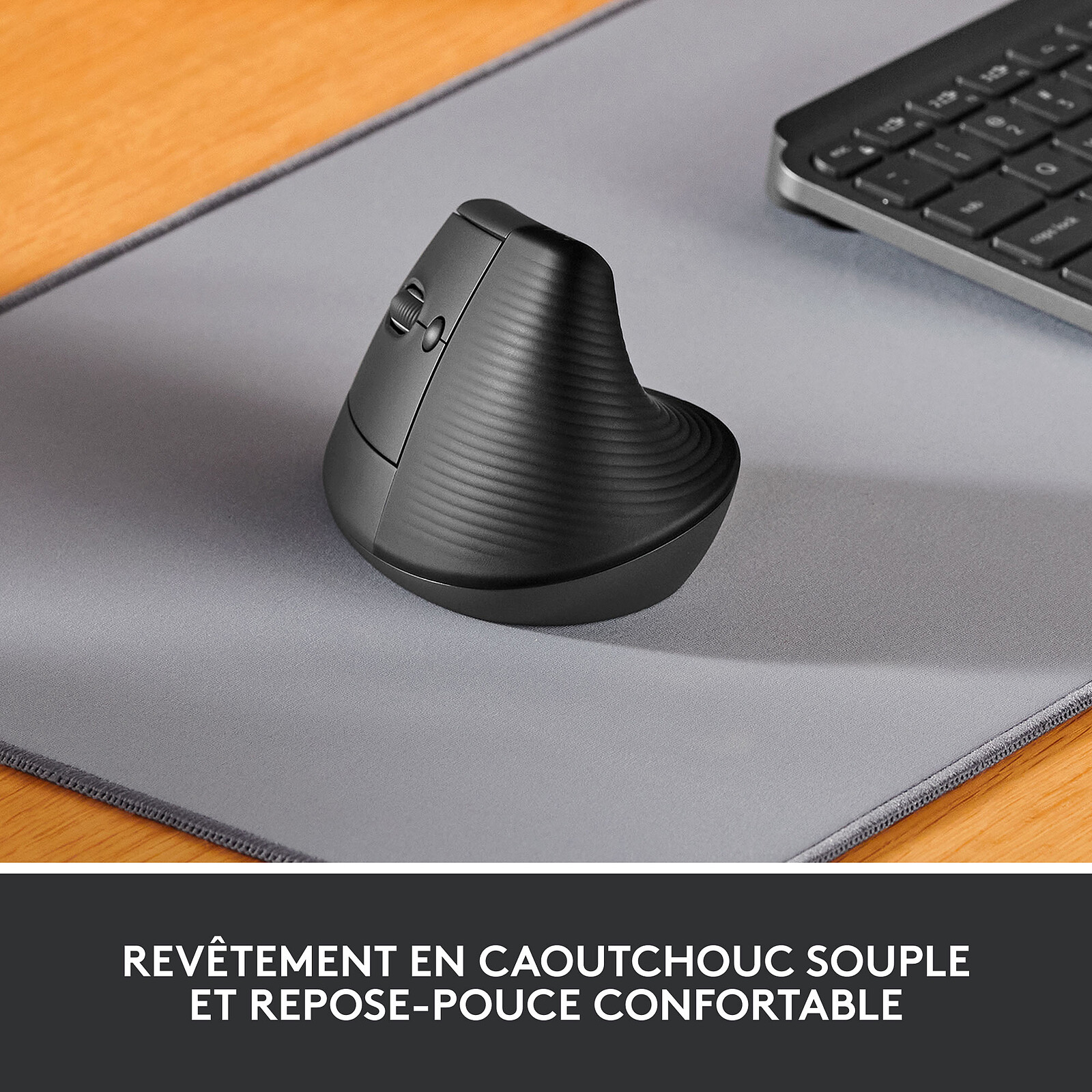 Logitech Lift Left (Graphite)