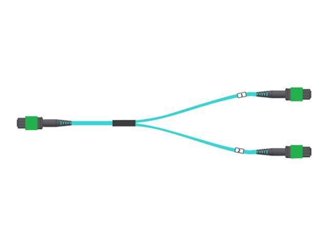 Nvidia - Network Cable - MPO-12/APC Multi-Mode (F) Push-Pull - 20m - Fiber Optic - 50/125 Microns - OFNR - Halogen-Free