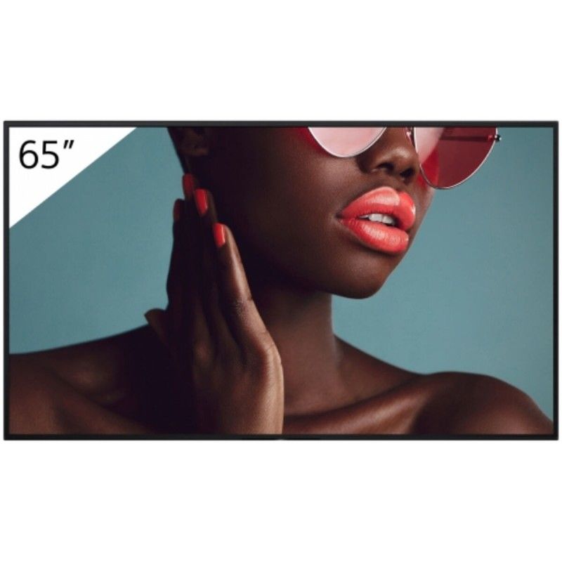 Sony PRO BRAVIA 65" 4K Ultra HD IPS D-LED LCD 60Hz Screen