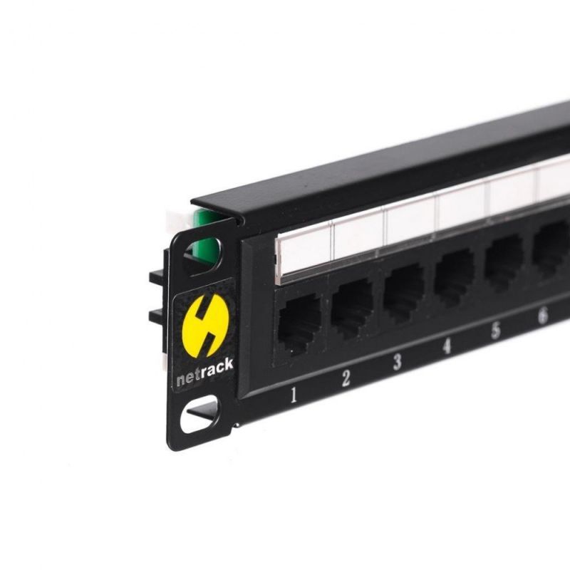 Netrack 104-14 Networking Panel, 10 Ports Cat. 5e UTP