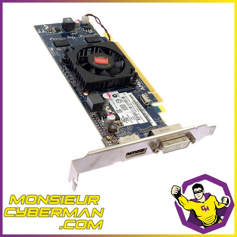 AMD Radeon HD6450 Graphics Card