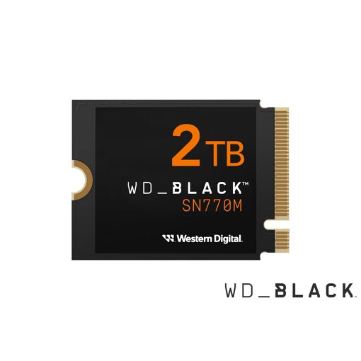 WD Black SN770M WDS200T3X0G - 2TB M.2 PCIe 4.0 x4 SSD for ASUS ROG Ally, Steam Deck, and Microsoft Surface