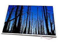 AU Optronics 15.4" WXGA Glossy Laptop LCD Screen (B154EW01 V.9)