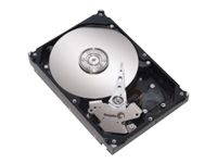 Lenovo 500GB Hot-Swappable Hard Drive