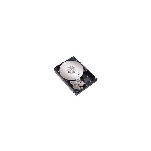 Disque dur Lenovo 500 Go échangeable à chaud