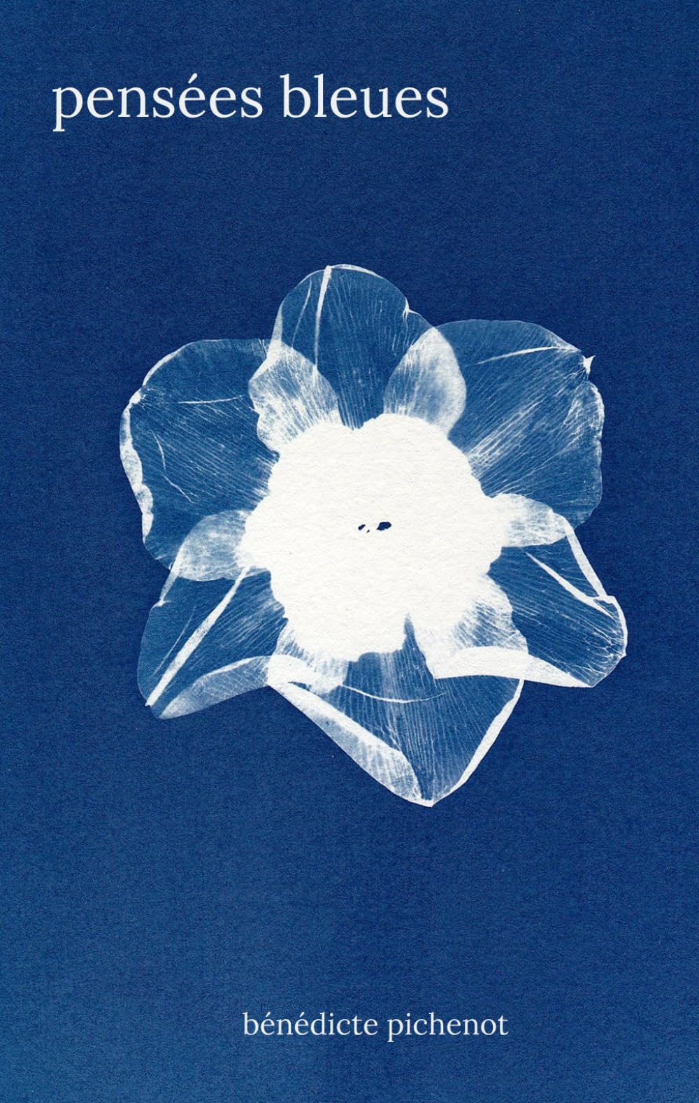 Pensamientos azules de Bénédicte Pichenot