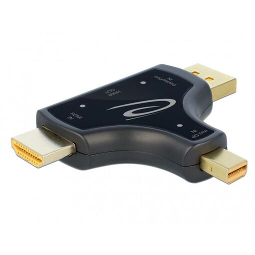 Adaptateur moniteur Delock 3 en 1