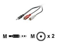 Cable de audio Secomp VALUE