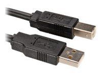 Roline USB 2.0 Type A-B Cable, 3m