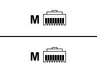 Roline - RJ-45 (M) to RJ-45 (M) Connector Cable - 2m - SFTP - CAT 5e - Red